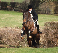 Mendip Plains Equestrian Centre Somerset