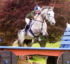 Mendip Plains Equestrian Centre Somerset