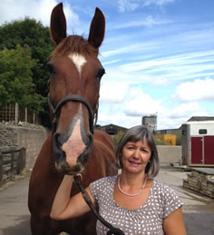 Mendip Plains Equestrian Centre Somerset