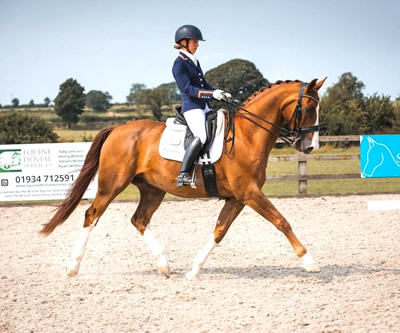 Mendip Plains Equestrian Centre Somerset
