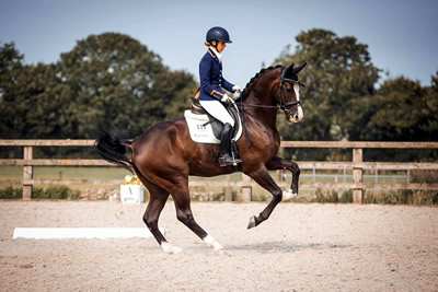 Mendip Plains Equestrian Centre Somerset