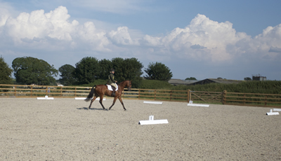Mendip Plains Equestrian Centre Somerset